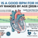 "Healthy resting heart rate chart by age for men and women with anatomical heart diagram and PVC heart palpitation indicators"
